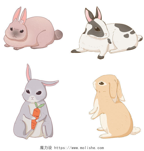 世界动物日日系手绘可爱描线风格兔子宠物兔元素素材
